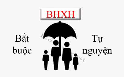 Đối tượng tham gia BHXH bắt buộc, tự nguyện