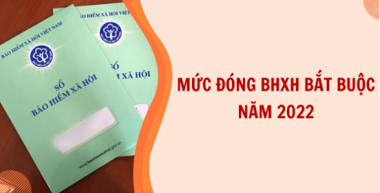 Mức đóng BHXH bắt buộc, BHTN, BHYT năm 2022