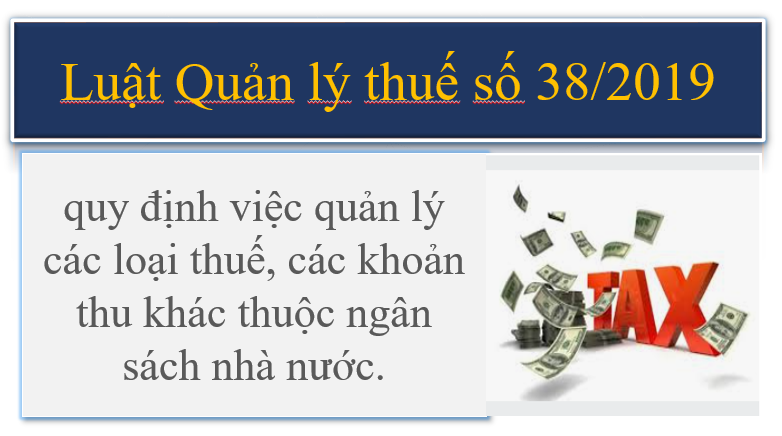 Luật quản lý thuế số 38/2019